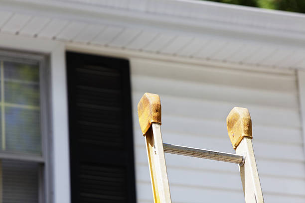 Best Custom Trim and Detailing for Siding  in Union, OH